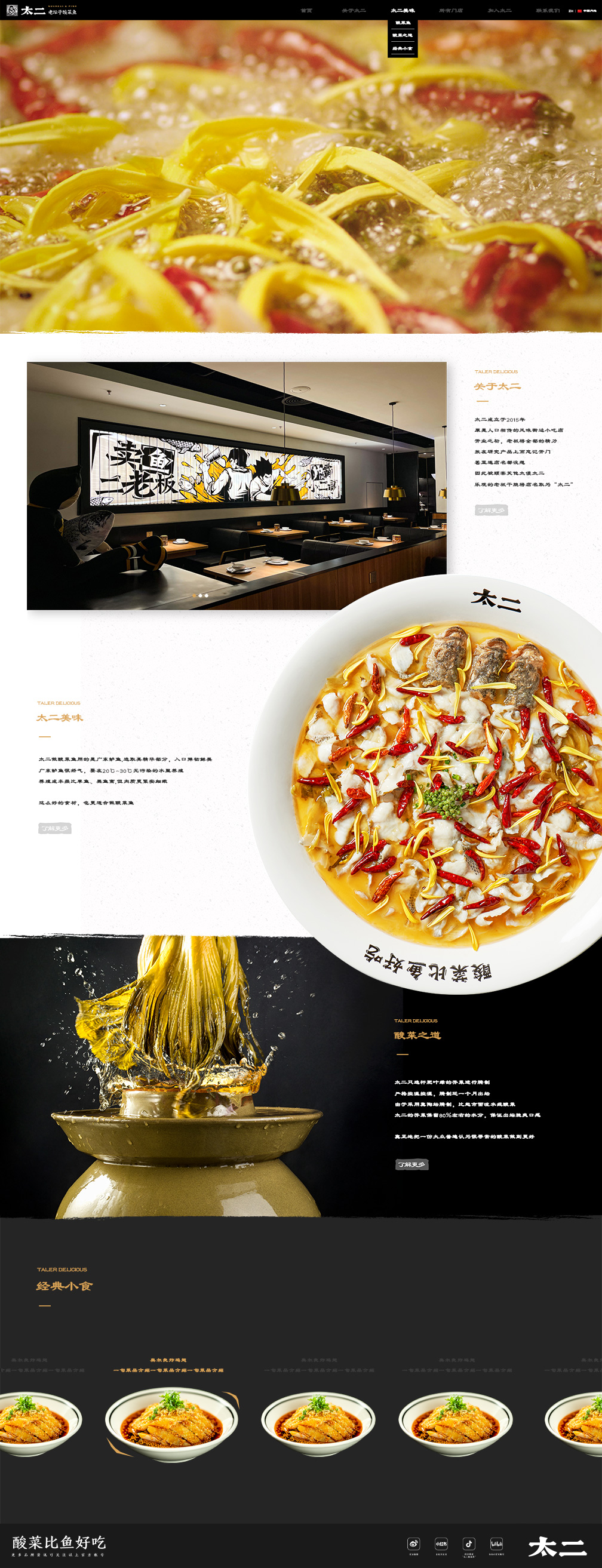 太二——首页风格展示